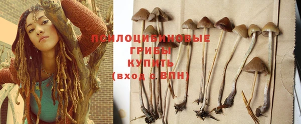 СК Богданович