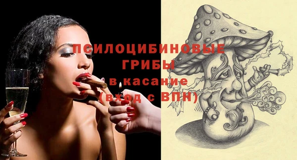 экстази Богородск